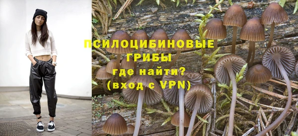 первитин Дмитриев