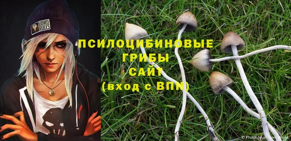 первитин Дмитриев