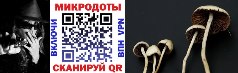 Псилоцибиновые грибы Magic Shrooms  mega ссылка  Северо-Курильск  купить наркоту 